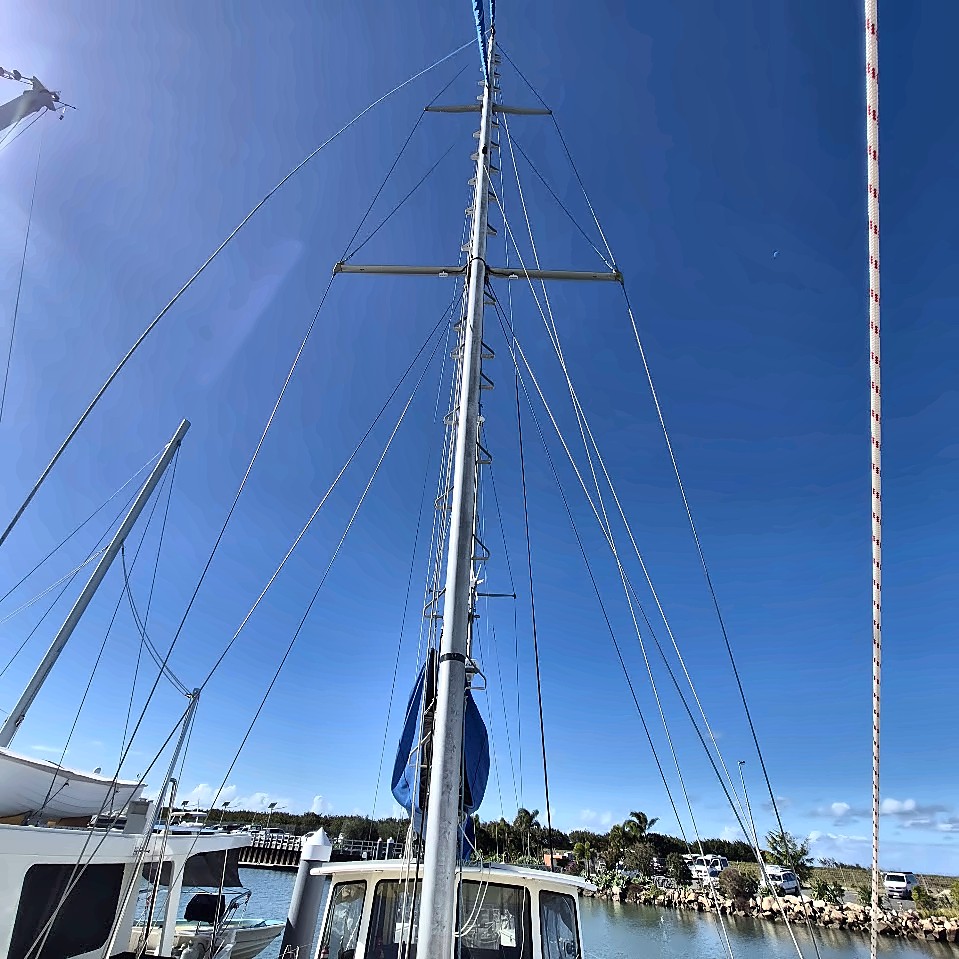 Main Mast and Standing Rigging