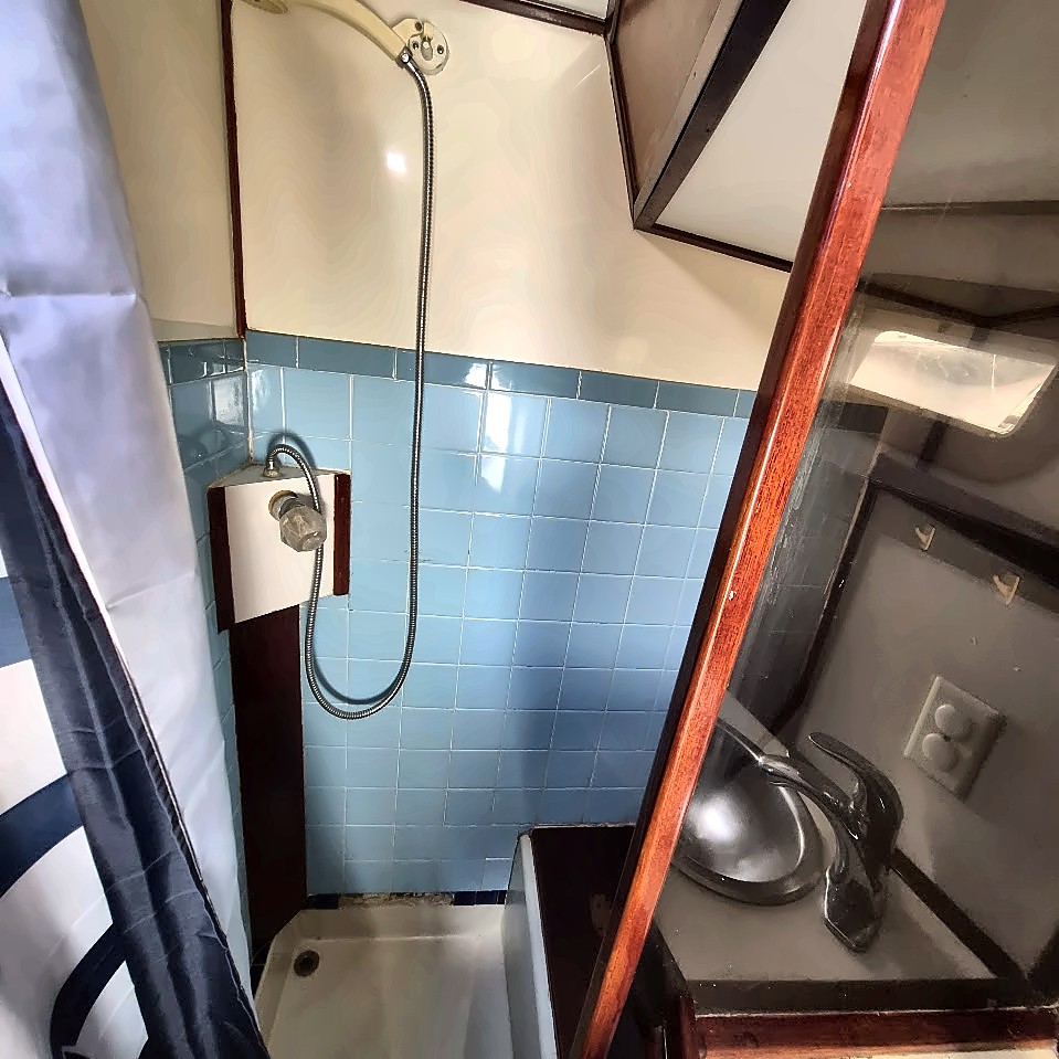 Forward Shower